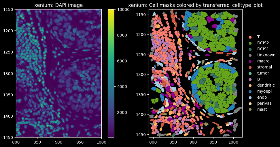 ../_images/notebooks_10x_xenium_focus_24_1.png