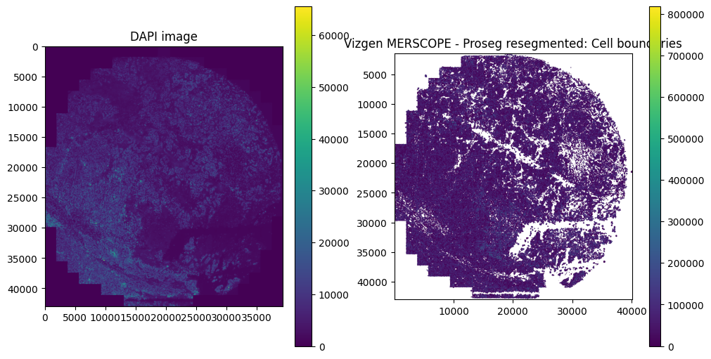 ../_images/notebooks_vizgen_merscope_focus_23_3.png
