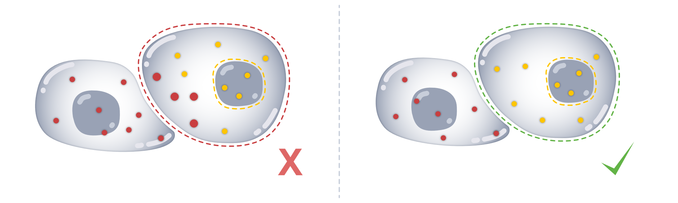 dabc717dd6c54c13ae7eb9b6032a53ff